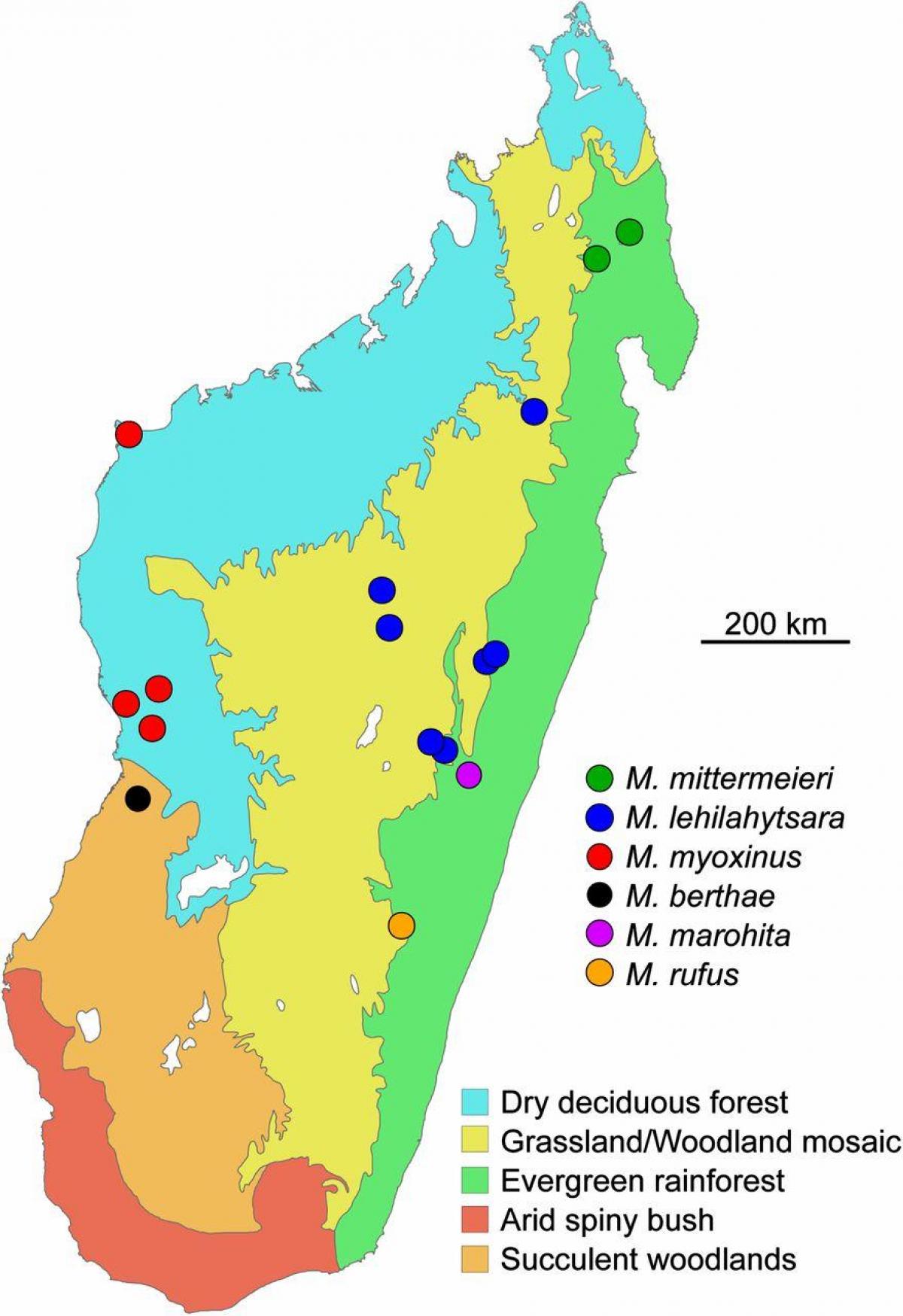 žemėlapis Madagaskaras atogrąžų miškai