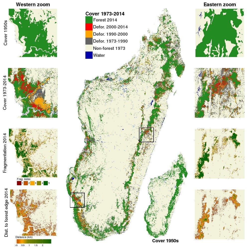 žemėlapis miškų kirtimo Madagaskaras