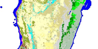 Žemėlapis Madagaskaras augalija