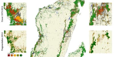 Žemėlapis miškų kirtimo Madagaskaras